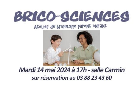 Brico-sciences