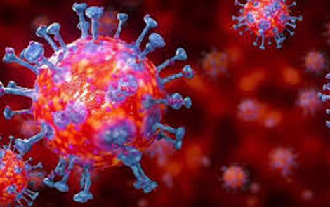 Règles et mesures quant au coronavirus