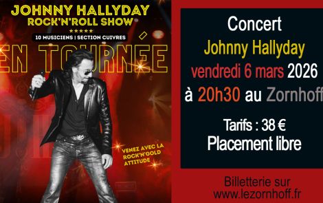 Concert Johnny Hallyday
