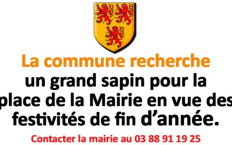 La commune recherche un sapin